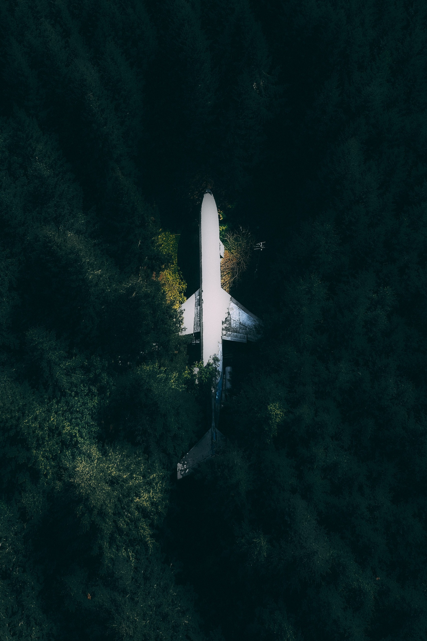 View from above of a wreckage of a white plane in the middle of a forest
